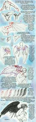 Quick Feathers And Wings Tutorial Drawing Tutorial Drawing Reference Drawings