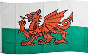 Walisisch y ddraig goch, /. Fahne Flaggen Wales 150x90cm Amazon De Sport Freizeit