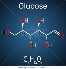 Seven is asking us to draw the structural formula for glucose. Glucose Dextrose D Vector Photo Free Trial Bigstock