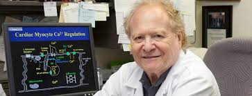 Schwartz elected AAAS fellow