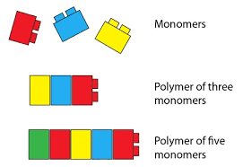 Monomers And Polymers Duelling With Science Nail