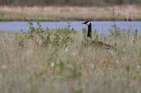 Christine Kilpatrick