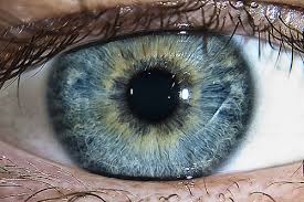 15 Things About Lazy Eye In Children That Surprise Parents Lazy Eye Exercises Vision Therapy Eye Exercises