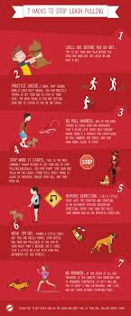 How To Stop Dog From Pulling On Leash Leash Training Good Doggies Online Dog Training Dog Care Tips Dog Training Obedience