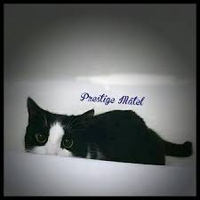 We did not find results for: Tambahan Blok Sel Lakaran Sangkar Prestige Matel Sdn Bhd Facebook