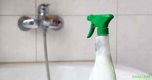 Duschkabinen Spray Okologisch Und Preiswert Selber Machen Duschkabine Duschreiniger Duschkabine Reinigen