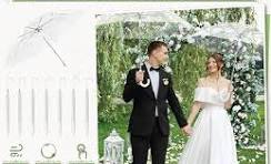Amazon.com: Profasion 8 Pack Wedding Umbrella Bulk ...