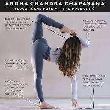 Bird Of Paradise Yoga Pose Modifications Pin On Yoga