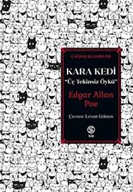 Kara Kedi Uc Tekinsiz Oyku Amazon Co Uk Edgar Allan Poe Levent Goktem 9786050635218 Books