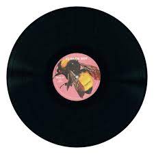 Tyler The Creator Flower Boy Vinyl Record Vinyl Record Art Vinyl Records Vinyl