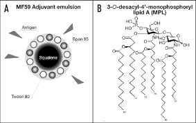 A Physical Structure Of Mf59 Adjuvant B Chemical Structure Of Mpl Download Scientific Diagram