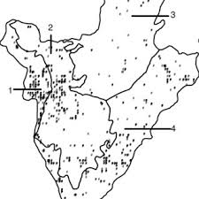 Image result for Kotschya prittwitzii