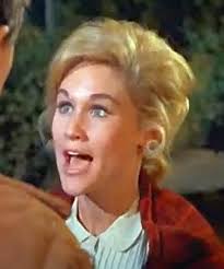 Daniel Boone" Thirty Pieces of Silver (TV Episode 1968)