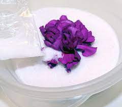 (if you do this, be careful. The Easiest Way To Dry Flowers In A Microwave Dried Flowers Pressed Flowers Diy Dried Flowers Diy