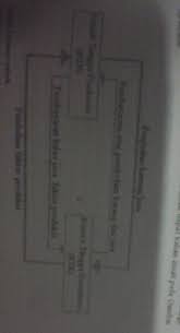 Hubungan antarpelaku ekonomi terbagi menjadi beberapa model, sebagai berikut: Gambarkan Hubungan Antara Rumah Tangga Konsumen Dengan Rumah Tangga Produsen Berbagai Rumah
