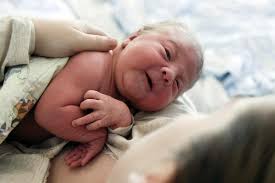 Søren og Mette forsvinder fra Horsens: Arthur, Agnes, Nimbus og Bellatrix  er kommet til byen