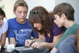 How to do homeschool in florida. Florida Homeschool Requirements Fpea Com