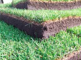 Maybe you would like to learn more about one of these? Gazon En Rouleau Park Compomed Covergarden