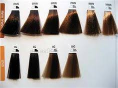 Matrix Mocha Hair Color Sbiroregon Org