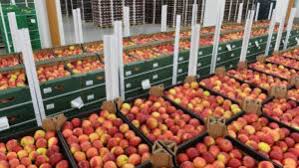 Joburi muncitor calificat si necalificati in strainatate. Locuri De Munca Germania 2018 Germania Info