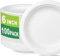 6 inch Small Compostable Dessert Plates,100 Count Heavyduty  Sugarcane/Bagasse and Bamboo Fibre Biodegradable Disposable Paper Plate