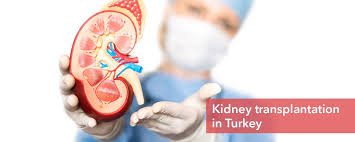 Kidney Transplant In Turkey Kidney Transplant Cost In Turkey