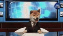 Самые новые твиты от breaking news (@breakingnews): News Gifs Tenor