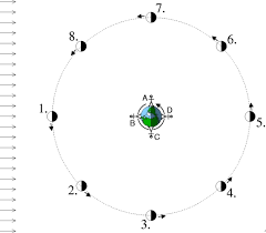 The sun rises from the east and progressively moves westwards as sunset approaches. Phases Of The Moon