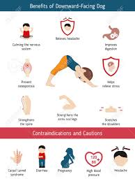A spiritual practice to master mind and the senses. Infographics Of Yoga Pose Benefits And Contraindications Of Royalty Free Cliparts Vectors And Stock Illustration Image 102778291
