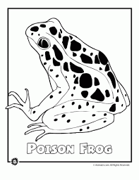 Maybe you would like to learn more about one of these? Endangered Animals Coloring Pages Animals From North America The Rainforest The Ocean Woo Jr Kids Activities Endangered Rainforest Animals Rainforest Animals Animals Coloring Pages