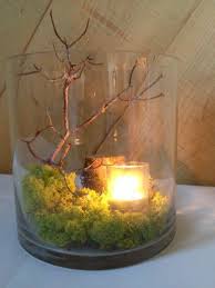 1001 Ideas For Decoration With Moss To Amaze And Admire Moos Dekor Dekoration Herbst Dekoration