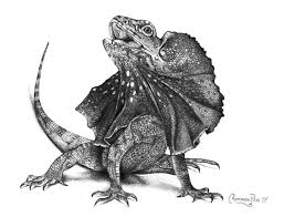 This is going to make him look like it's. 50 Easy Pencil Drawings Of Animals That Look So Realistic