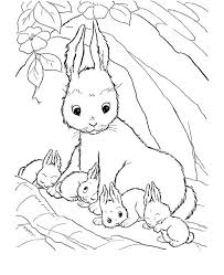 So, unpack all your crayons, because for these coloring sheets of different farm animals. Animal Templates Free Premium Templates Bunny Coloring Pages Farm Animal Coloring Pages Animal Coloring Pages