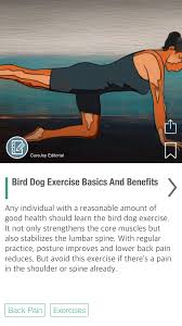 Bird Dog Pants Review Bird Dog Exercise Basics And Benefits Via Curejoy Bird Dog Exercise Exercise Core Muscles