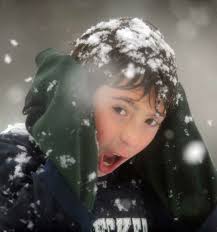 Power lines and trees fall as nor'easter dumps snow