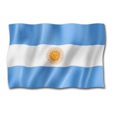 Actividad plástica para hacer en casa!! Bandera Argentina 45 X 72cm Con Sol Emblemas Argentinos