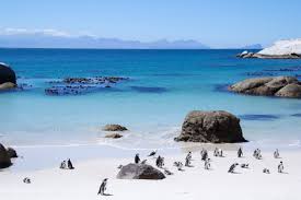 Table mountain is the most iconic landmark of south africa. 5 Healthy Days In Cape Town Healthy Travel Blog