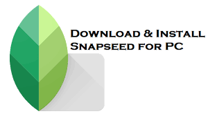 Snapseed is developed by google.ltd a photo editing tool. Download Snapseed For Pc Install Windows 10 8 1