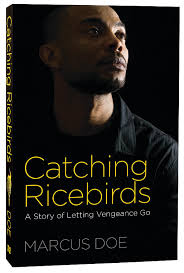Catching Ricebirds: A Story of Letting Vengeance Go