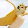 Looking for a good deal on banana dog? 1