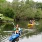 Kayaking + Birding: The Kalamazoo River