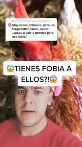 Gallo Para Decir Nombres