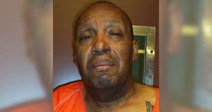 Man who killed wife, stepdaughter and kidnapped son pleads guilty