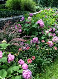 Berberis Hydrangea Daylily By Floralis Garden Design Beautiful Gardens Garden Design Garden Inspiration