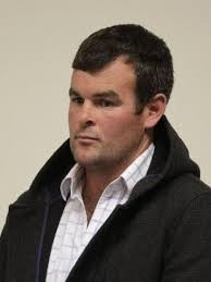 Papers shed new light