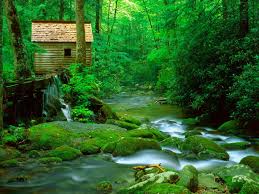 Shenandoah national park photo credit: 45 Great Smoky Mountains National Park Wallpaper On Wallpapersafari