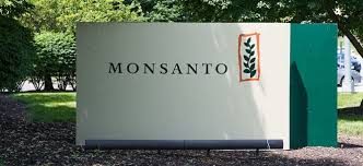 März, bereits um 10% gefallen!. Glyphosat Prozess Bayer Aktie Bricht Ein Us Richterin Will Strafe Fur Monsanto Abmildern Bayer Will Berufung