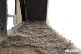 Durch meine „staub allergie fällt mir das wohnen dort schwer, obwohl täglich staub gewischt wird. Wie Du Hausstaub Dauerhaft Reduzieren Kannst