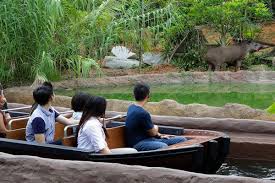 River safari is one of the most loved and visited attractions of singapore. River Safari Admission Ticket Including 2 Boat Rides Safari Hunt Booking Deals 2021