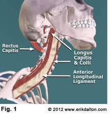 Pin On Manual Therapy